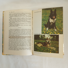 "Книга собаковода" М.Г. Псалмов, Росагропромиздат, Москва,1990. Картинка 5